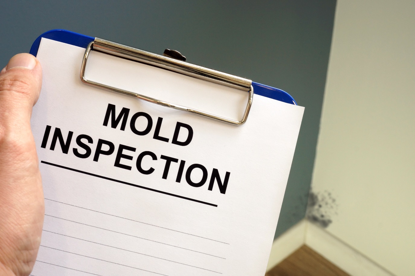 mold awareness training